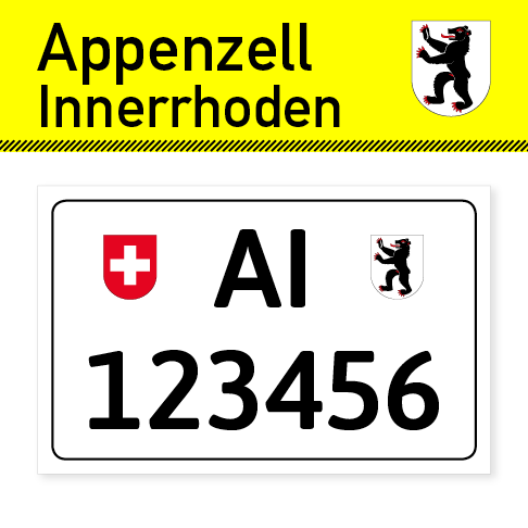 Personalisierter Kontrollschild Schlüsselanhänger mit Auto-Kennzeichen  Schweiz