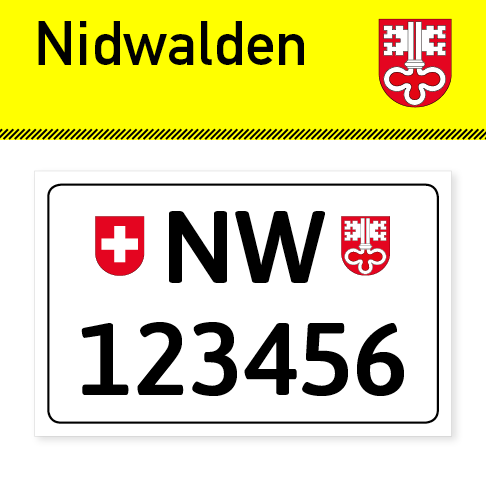 Custom England Kennzeichen Schlüsselanhänger, UK Nummernschild  Schlüsselring -  Schweiz