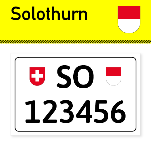 Schlüsselanhänger mit Kennzeichen von Solothurn
