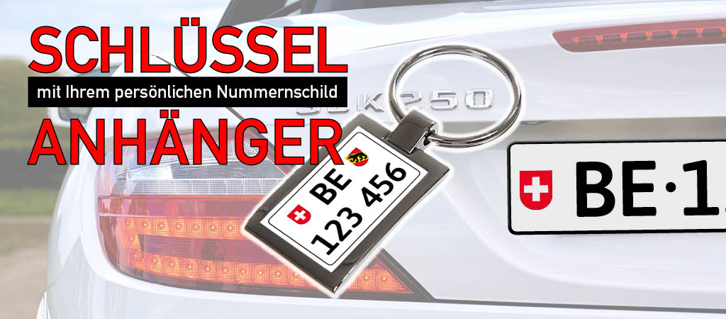 Kennzeichen Schlüsselanhänger KFZ Nummernschild Anhänger Auto